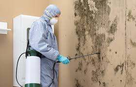 Best HVAC Mold Inspection and Cleaning  in Elizabethton, TN